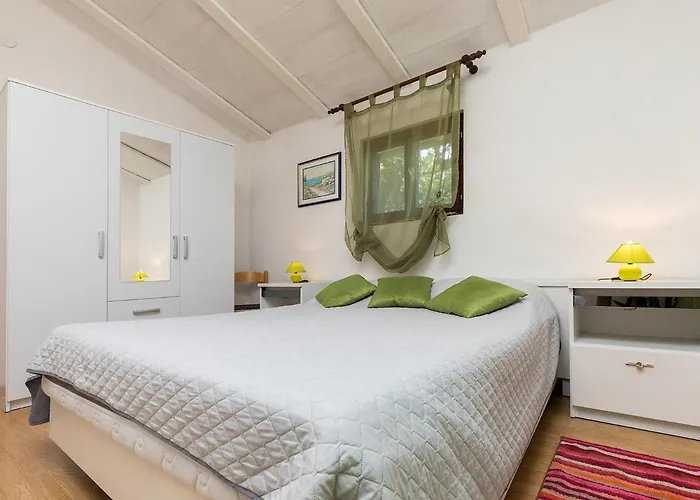 בית הארחה Susnjic 2*